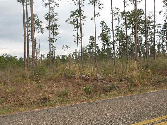 4th image of 2 Lewis Rd