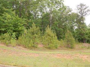 13711 Tab Dr, Northport, AL 35475
