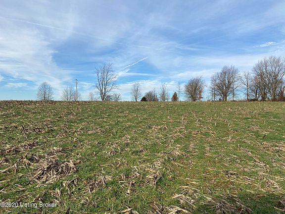 3rd image of 598 Cotton Ln