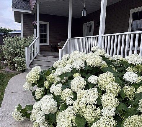 4th image of 201 Meadow Cir