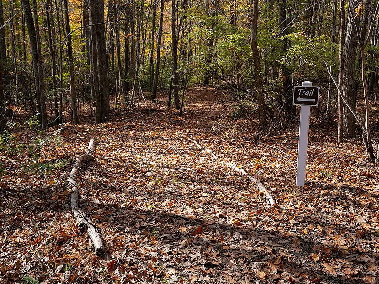 The Cascades at Tinton Falls — Photo 31