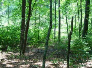 Mission Dam Rd, Hayesville, NC 28904