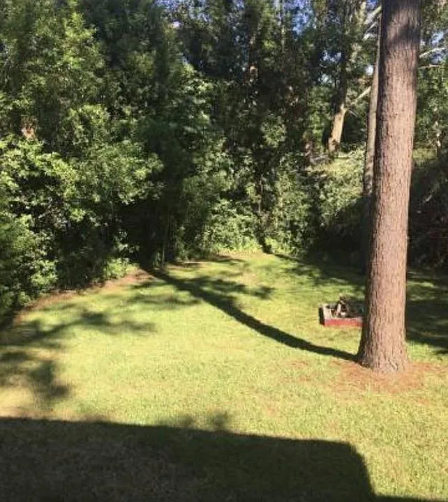 HUGE backyard!