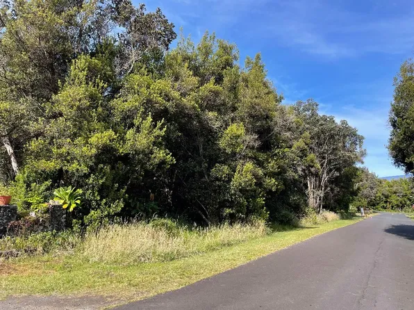 10 Painiu Loop Lot 10, Volcano, HI 96785