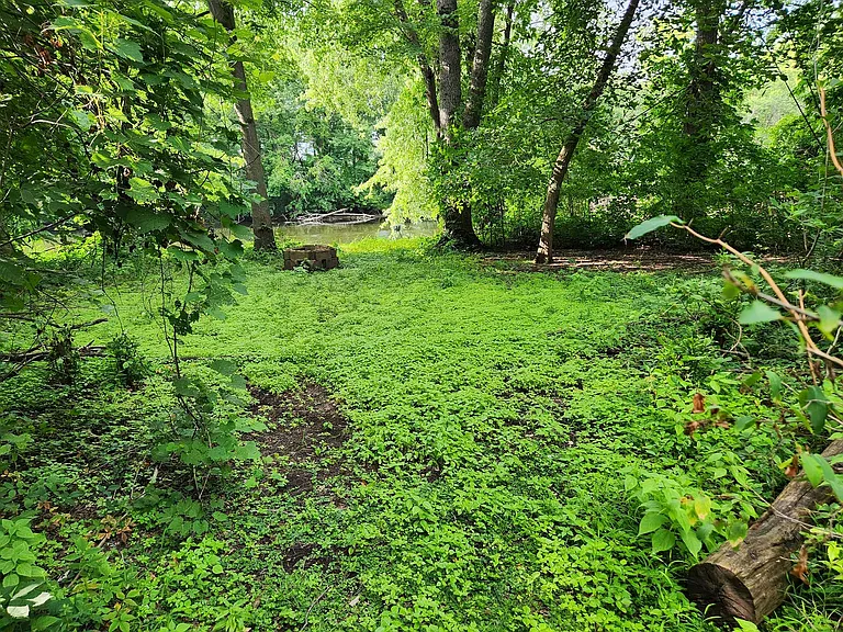 Woods/bonfire area/river access