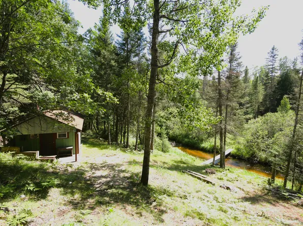 21035 Porcupine Rd, Hillman, MI 49746