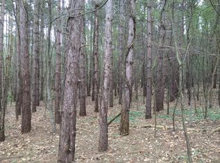 PARCEL Bass Rd #A, Middleville, MI 49333