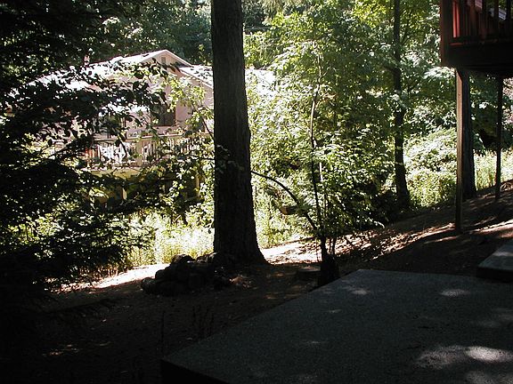 back view