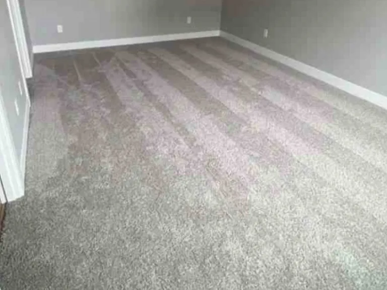 209 Rainier Dr — Photo 11