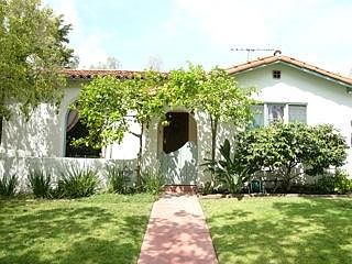 Shadows from sycamore trees