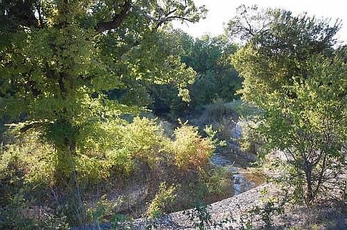 5th image of 6701 Woodland Creek Dr
