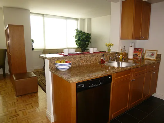 Rented by Carnegie Hill Place | media 8