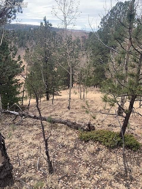 1st image of 116 Pikes Peak Dr