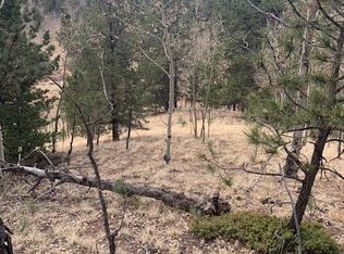 116 Pikes Peak Dr, Divide, CO 80814