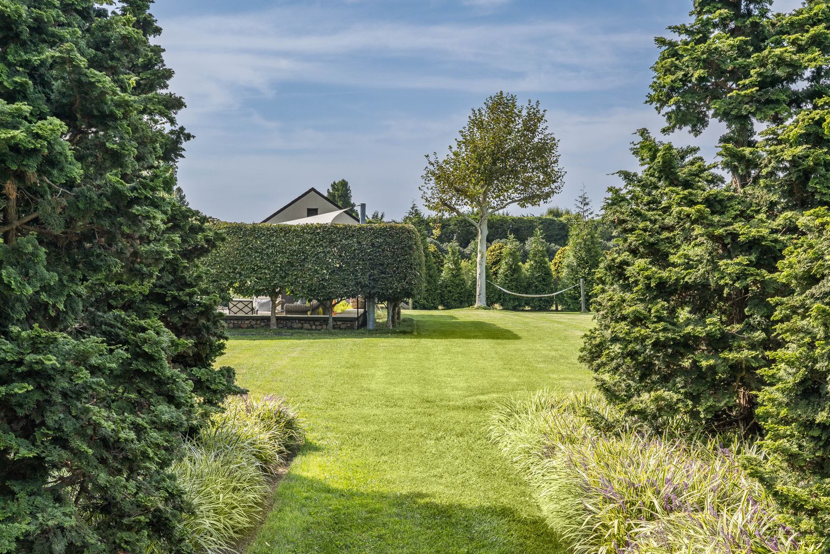 Grassy walkway
