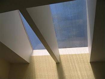 3rd image of 6019 Steadman Pl