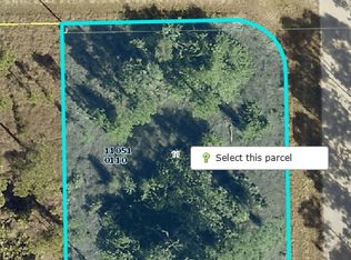 1230 Count St E, Lehigh Acres, FL 33974