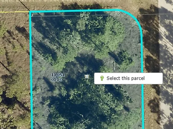 1230 Count St E, Lehigh Acres, FL 33974