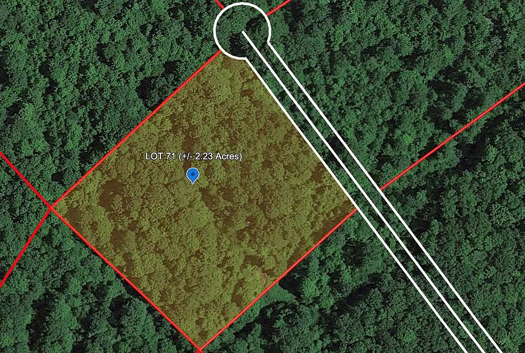119 Honeybee Way photo 1