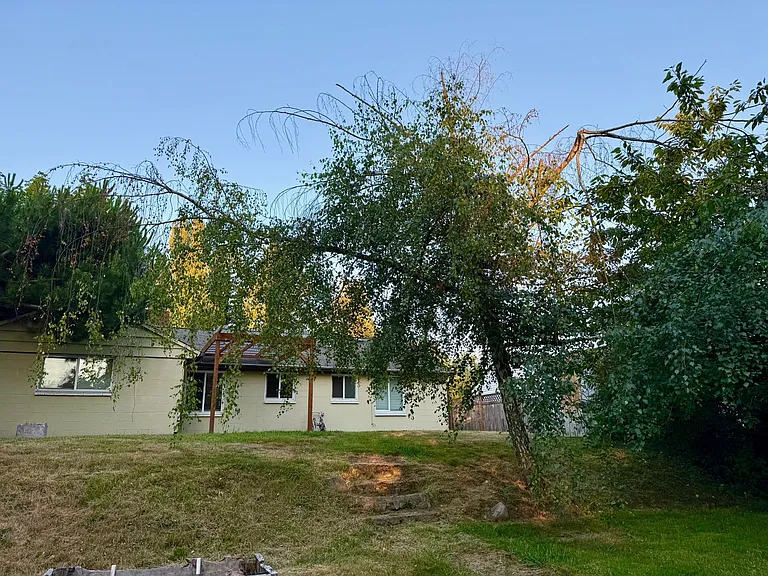 Large, fully fenced backyard with firepit and plenty of room for a garden