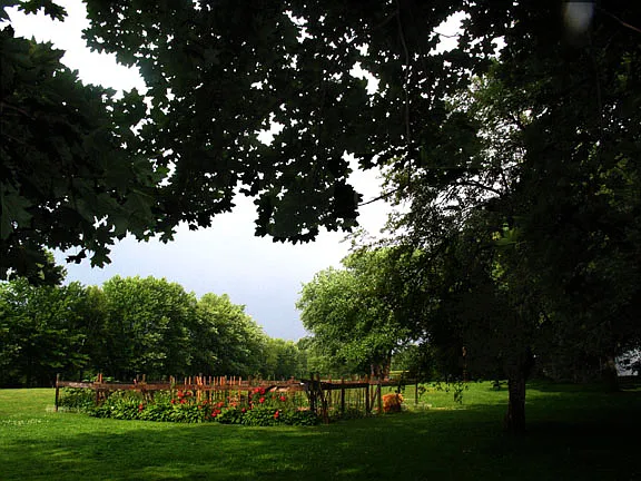 Parkland view from back yard