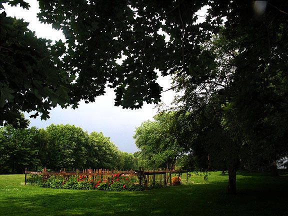 Parkland view from back yard