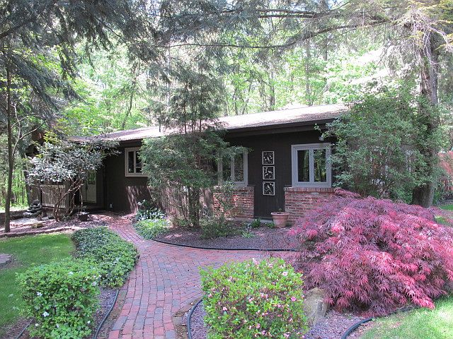 Sprawling ranch - 1.4 acres