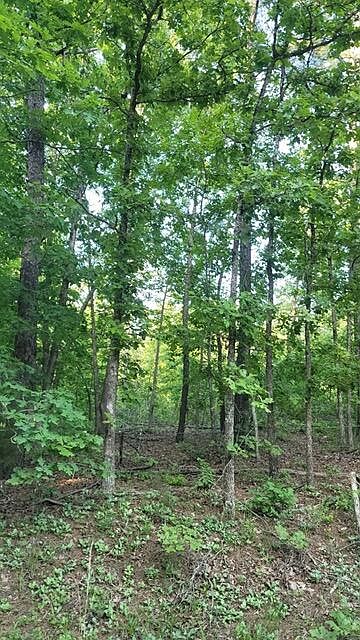 1st image of 000 County Road 2710
