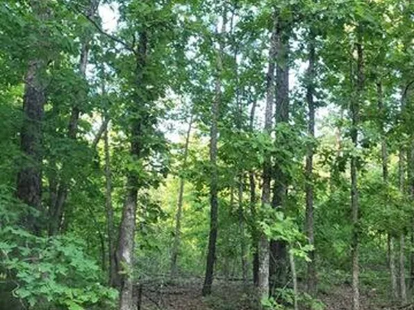 000 County Road 2710, Mountain View, MO 65548