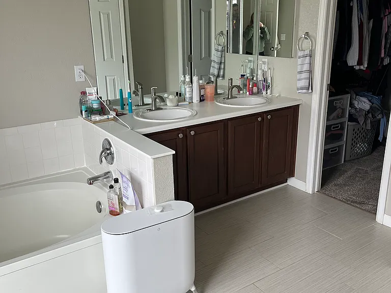 Master bath / walk-in closet