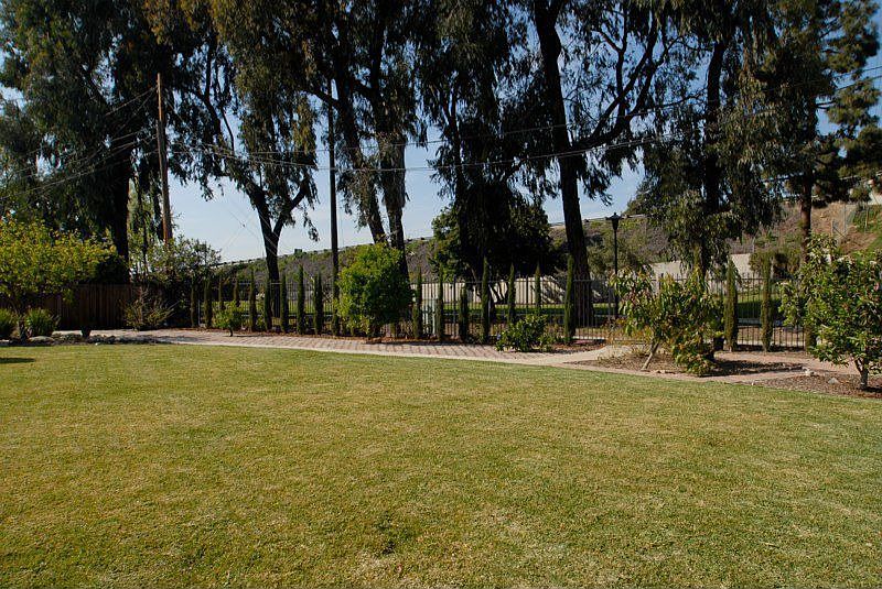 Spacious Backyard