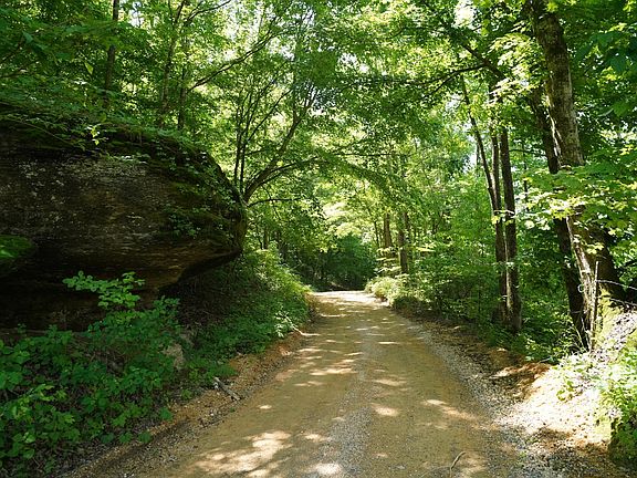 90th image of this home