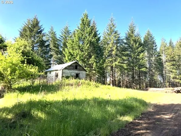 NW Lodge Rd, Banks, OR 97106