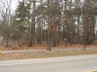 15459 Leonard St, Spring Lake, MI 49456