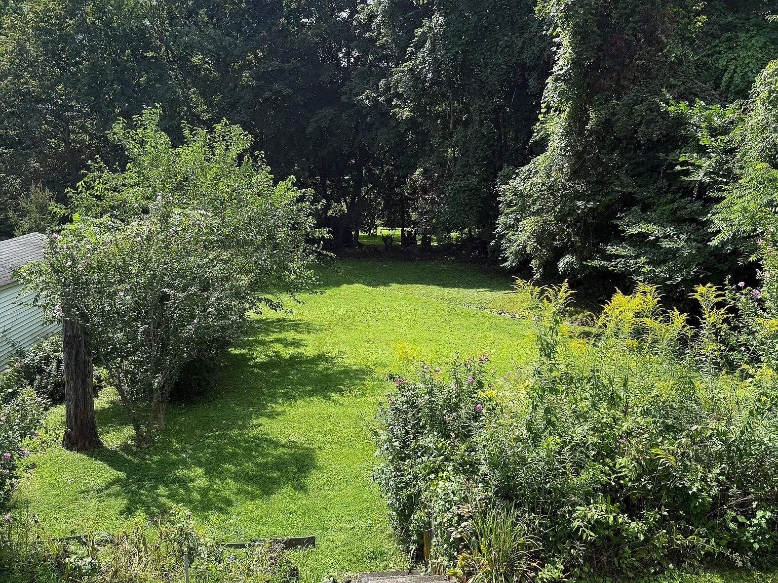 2 bed, $1,500 — Photo 3