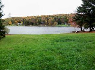 56 White Birch Lake Rd, Windsor, NY 13865