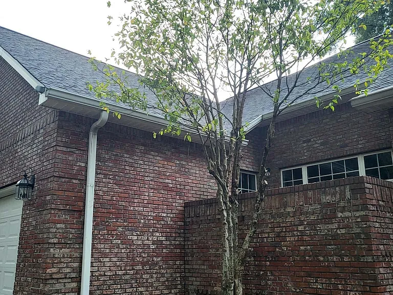 406 Royal Crest Cir — Photo 5