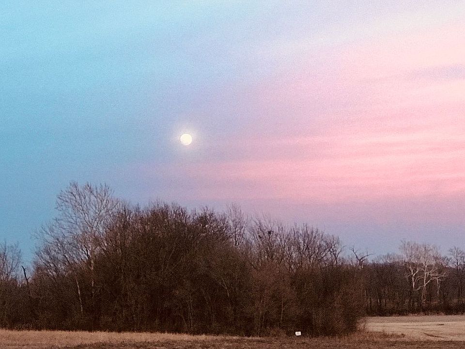 Backyard is picturesque 