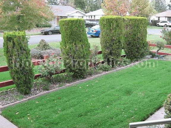 (3) : 2528 Butano Dr Sacramento, CA