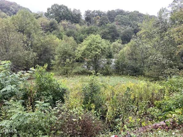 0 Hermitage Dr, Mount Carmel, TN 37645