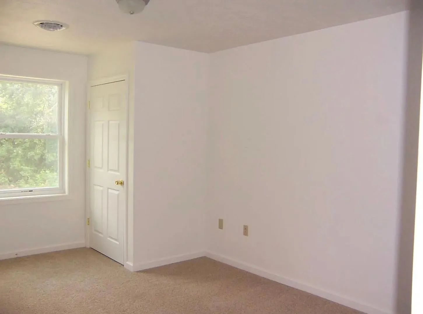 Clemens Lane 137/139 — Photo 3