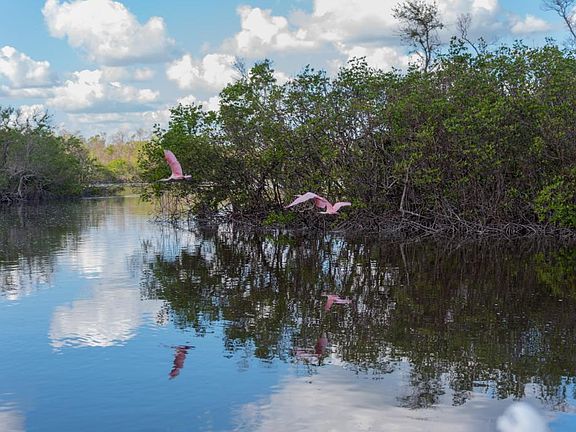 5th image of 195 Eveningstar Cay