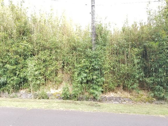 4th image of Puu Nani Dr Lot 93