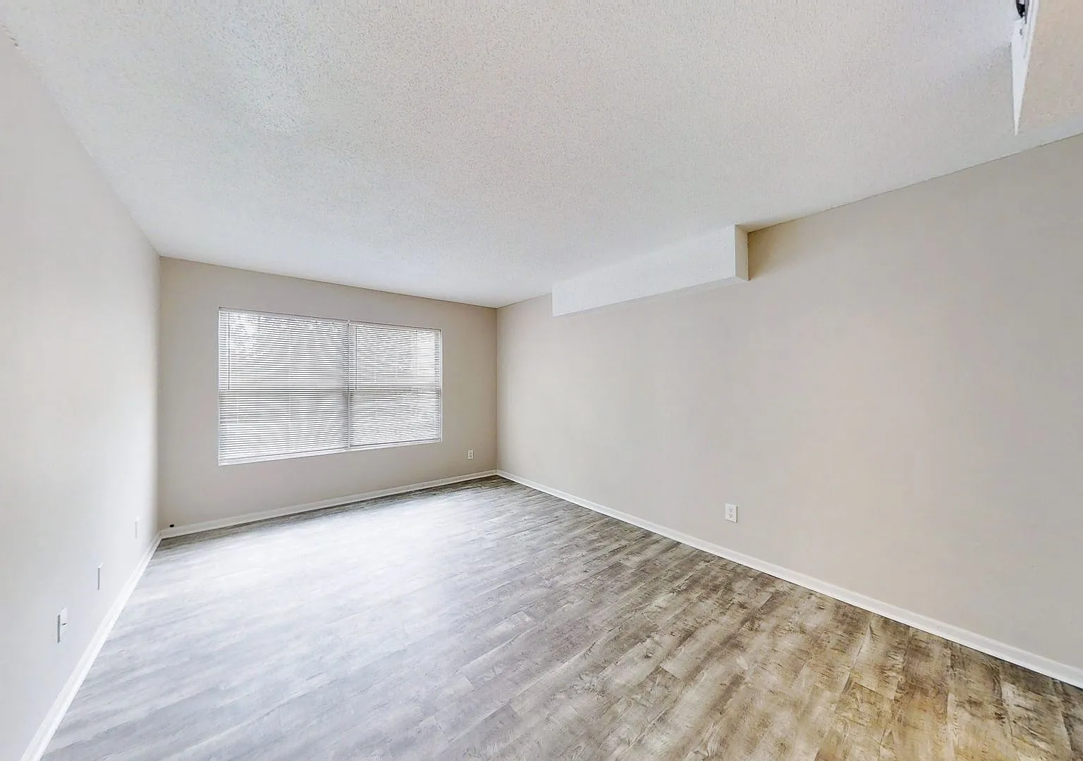 Newly Renovated 3 Bedrooms! — Photo 4
