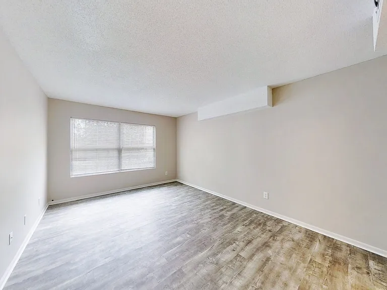 Newly Renovated 3 Bedrooms! — Photo 4