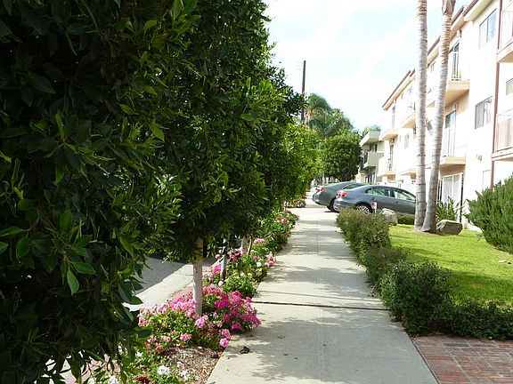 2nd image of 1560 S Saltair Ave APT 105