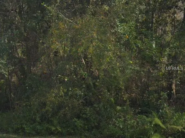 2301 Gainer Ln, Plant City, FL 33567