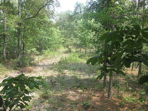 View from Hunt Stand