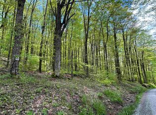 147 Cabin Mountain Rd, Davis, WV 26260