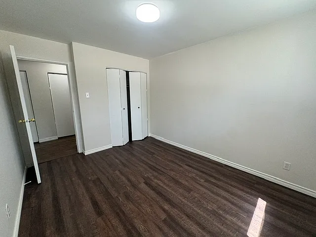236 Louisa St #1B — Photo 19